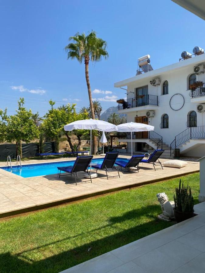 Templos Homes كيرينيا المظهر الخارجي الصورة